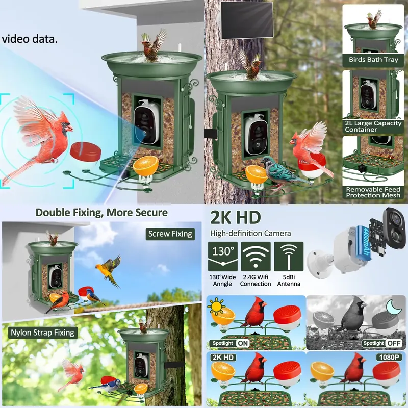 Pengumpan burung pintar berten - Power Tools Ai ulasan dan harga