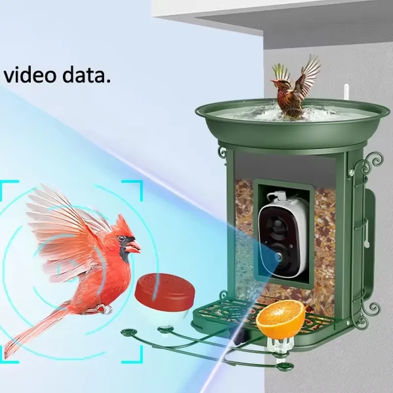 Pengumpan burung pintar berten - Power Tools Ai ulasan dan harga