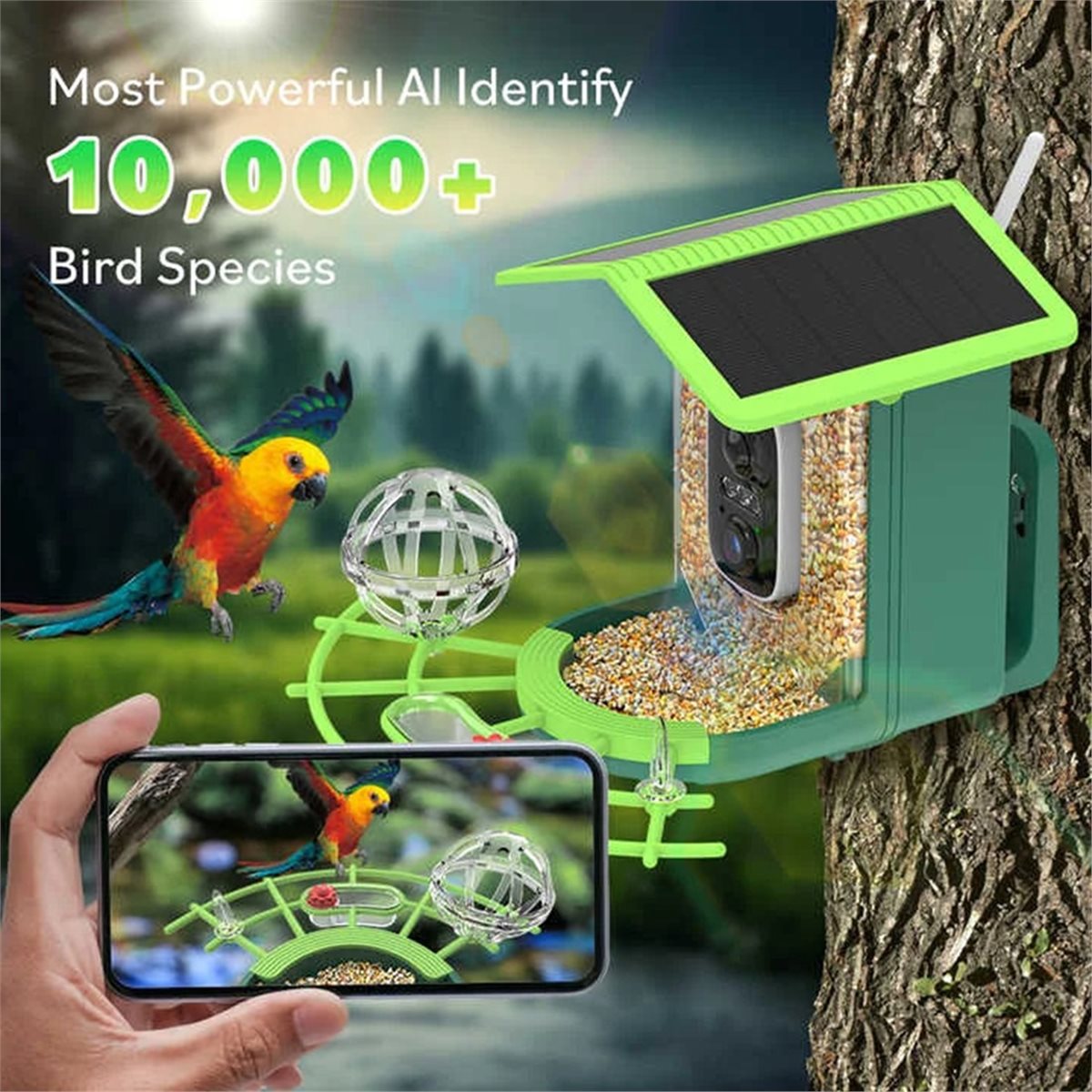 Kamera Pengumpan Burung Pintar - Power Tools Ai ulasan dan harga